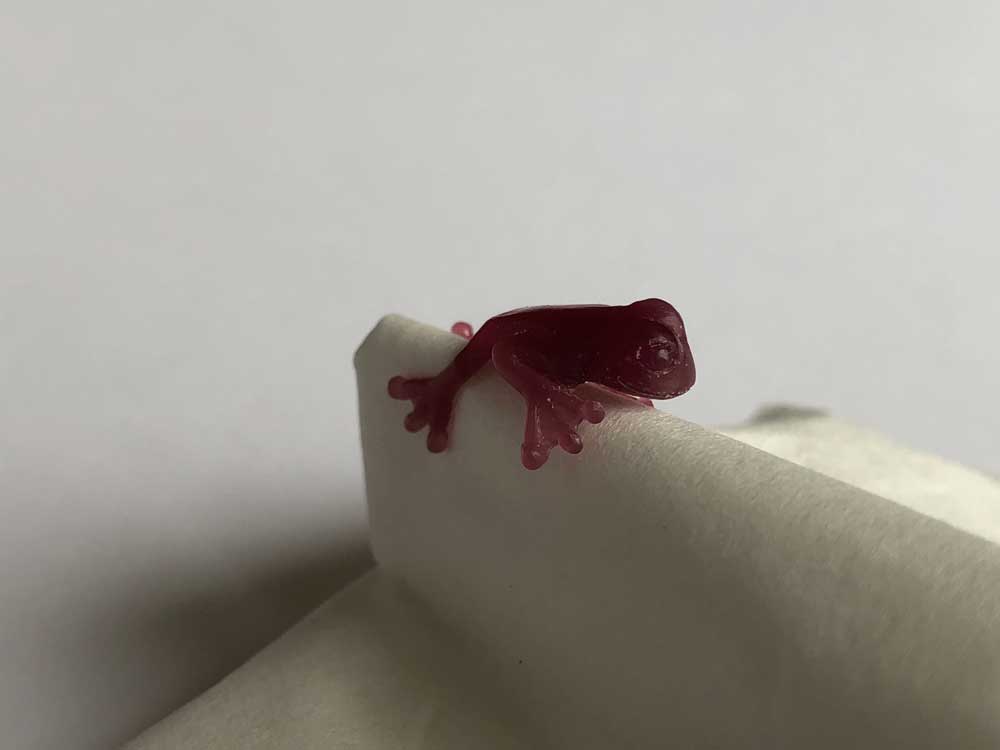 カエルのピアス原型完成2