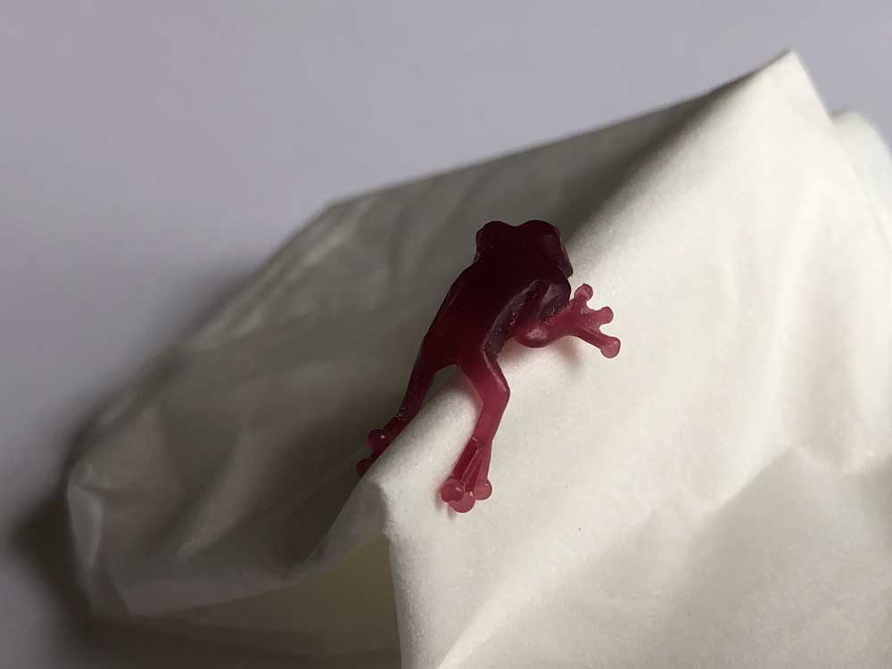 カエルのピアス原型完成3