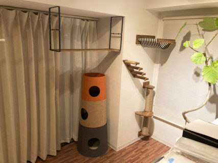 壁付けキャットタワーとキャットウォーク